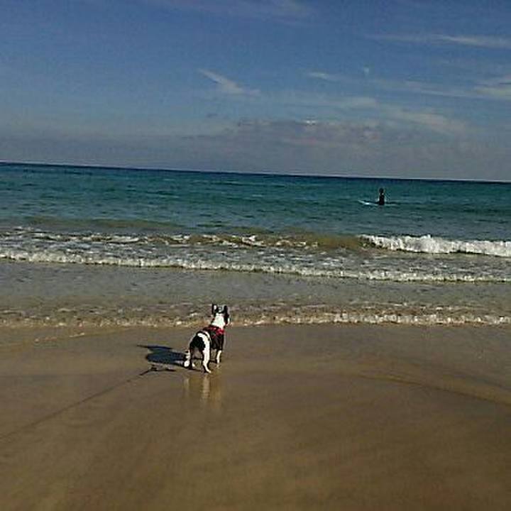 26caa0f0 8604 4620 8433 b1265464f62e