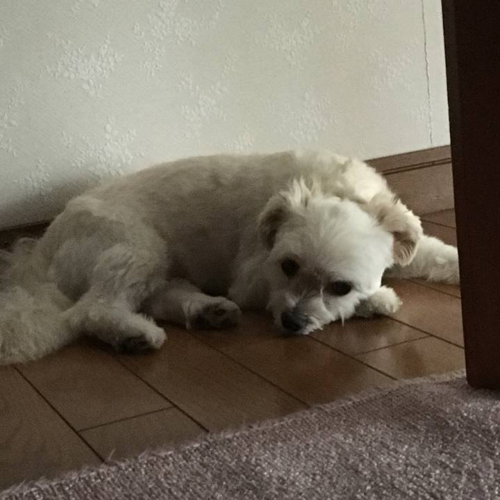 26caa3d9 2164 467e 905a 9afb222159c1