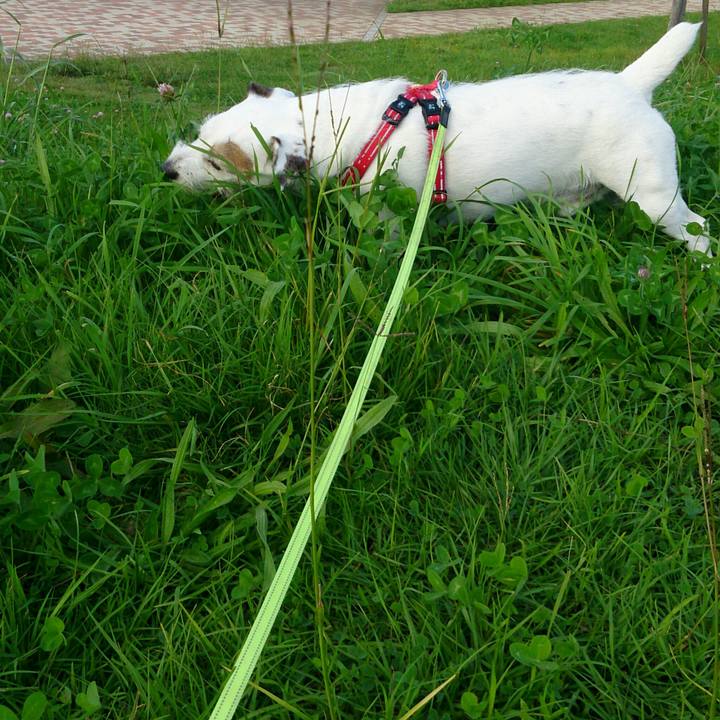 26cafc94 7109 4fcf bf9a ac218f2e647c