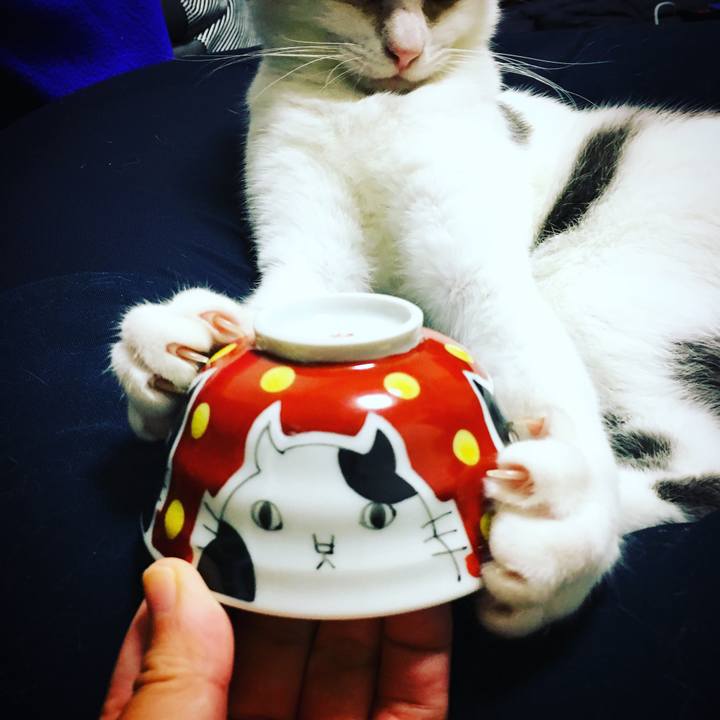 26cb1f61 9fd0 401b 8ddc 4c69697794a3