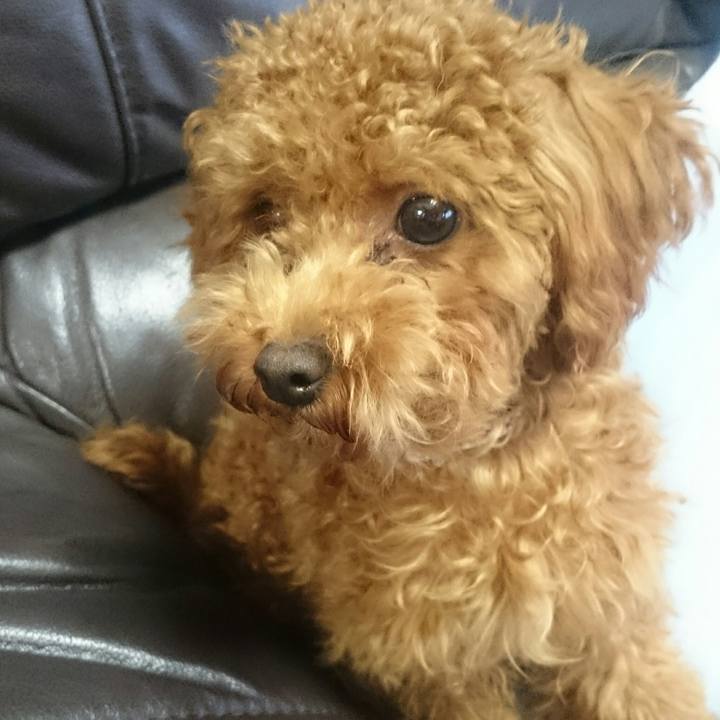 26cb2bc1 a490 4d64 b98c 661b799d19b1