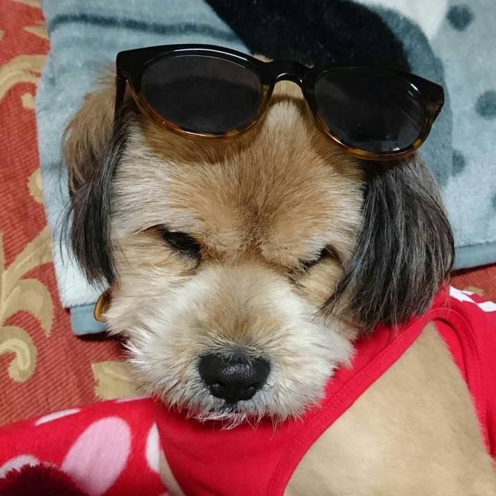 26cc47dd 154d 48e9 9a91 ddcdb1573367