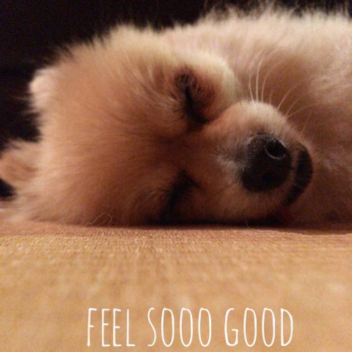 26cd2222 2fa1 4697 97e6 90ff271778aa