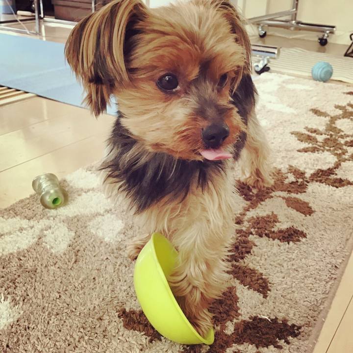 26cdbab0 4953 4a84 bc63 42aa44bd6259