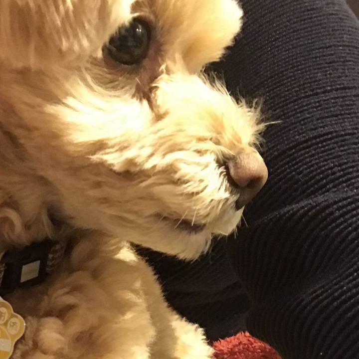 26cde8ce afa7 48d4 a712 ded71ecddfe0