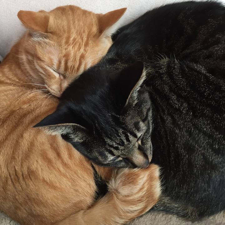 26ce06fb e37a 4ec1 92a9 ff101d7b7531