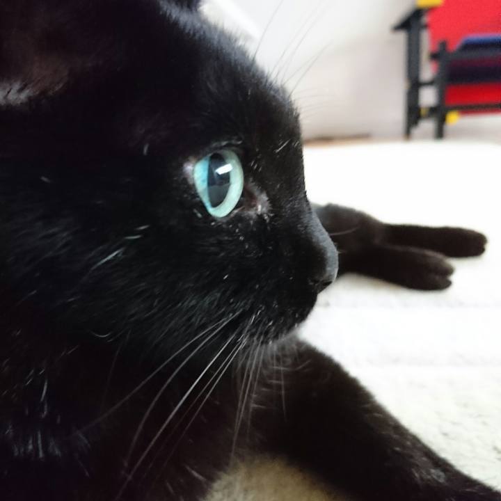 26ce14c3 a480 4339 8546 414ff4c26e52