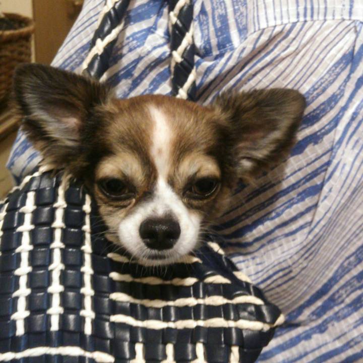 26ce3eb5 eaa1 4d35 beb3 b3203b4fe042