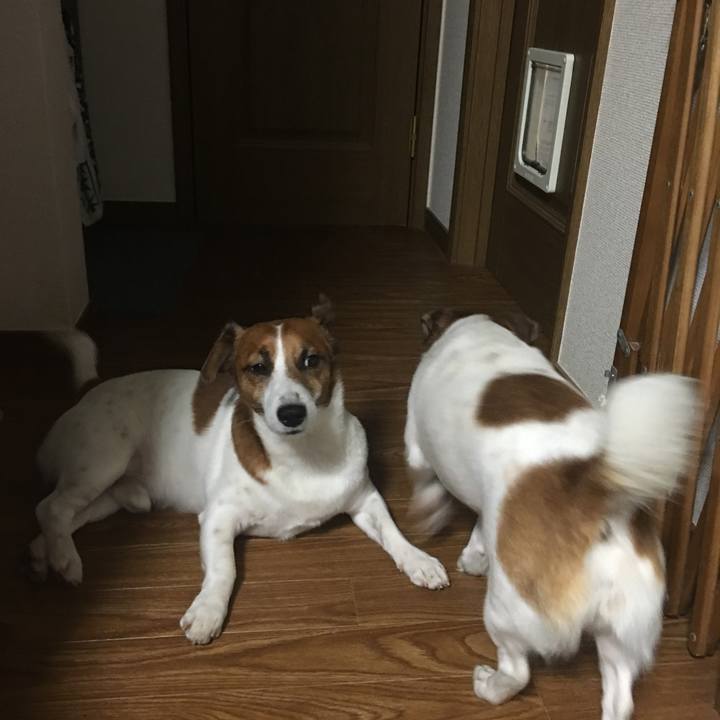 26ce87b0 4336 47af aefc 8c53f46590c4