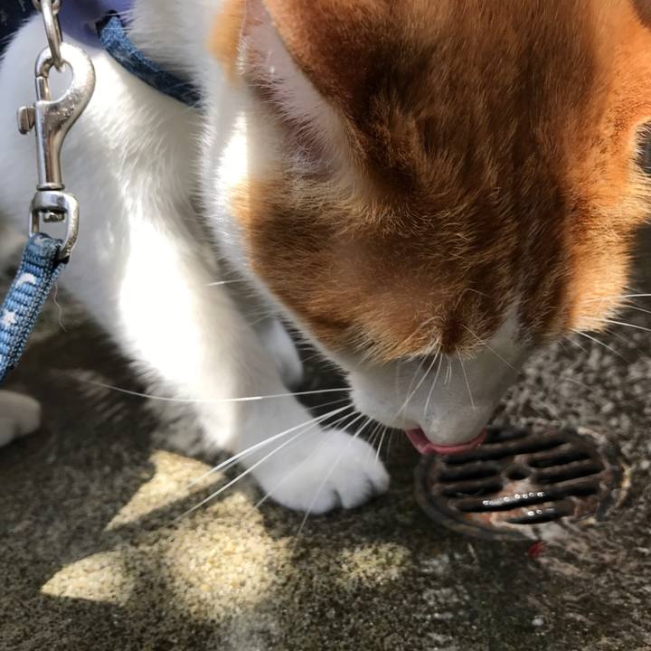 26cedd38 9341 4bba b5c1 12080a1741a5