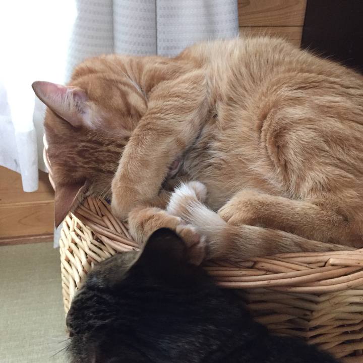 26cf5166 50ca 4fe0 a862 c0f59edc0e47