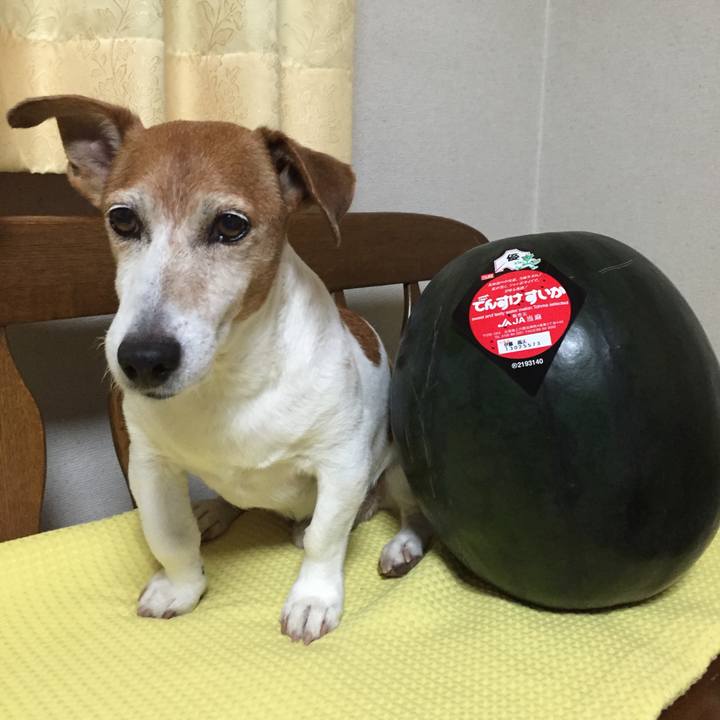 26cfa8af f73b 40ef bc3a 915129a22050