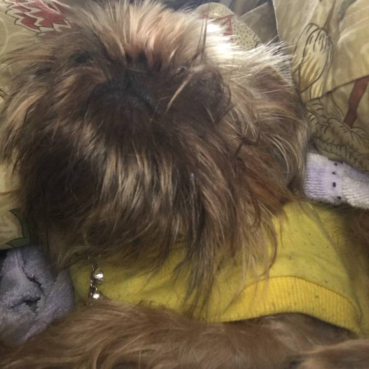 26cfc6c5 3ff4 4a4c 9e10 60831ea930f5