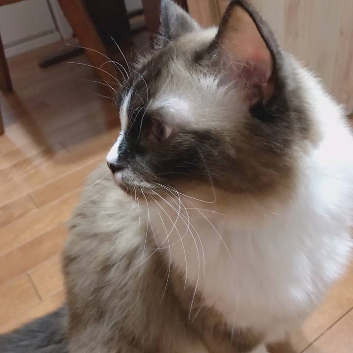 26cfd239 0cd3 4b39 9fb6 be8f08719ff0