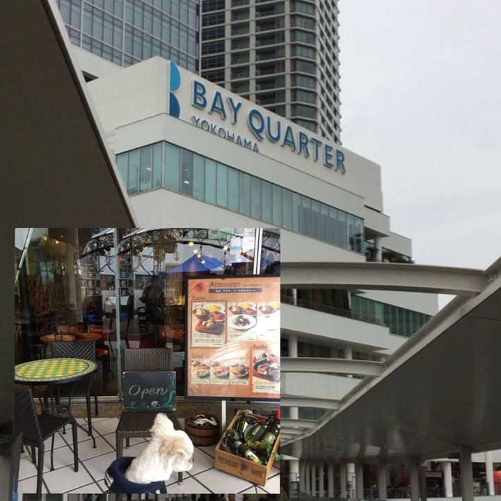 26d0af2f b4bf 4069 b1df 92cd2b330c95