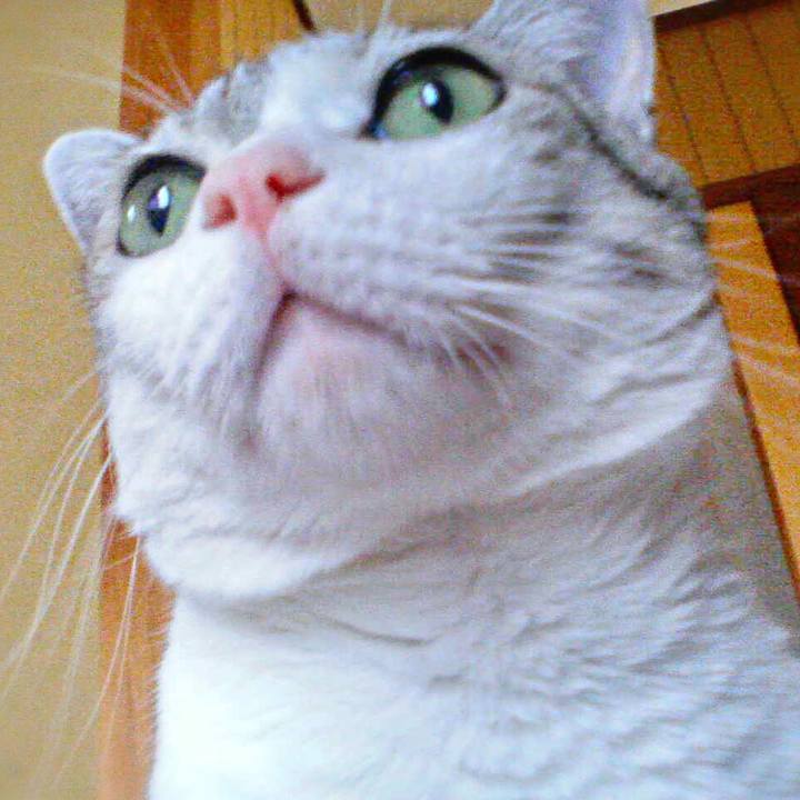 26d0d2d7 7f17 47f8 bd88 42e36a9dc427