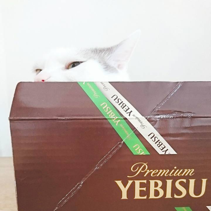 26d0dd90 0eb8 4e50 b570 db9008414616