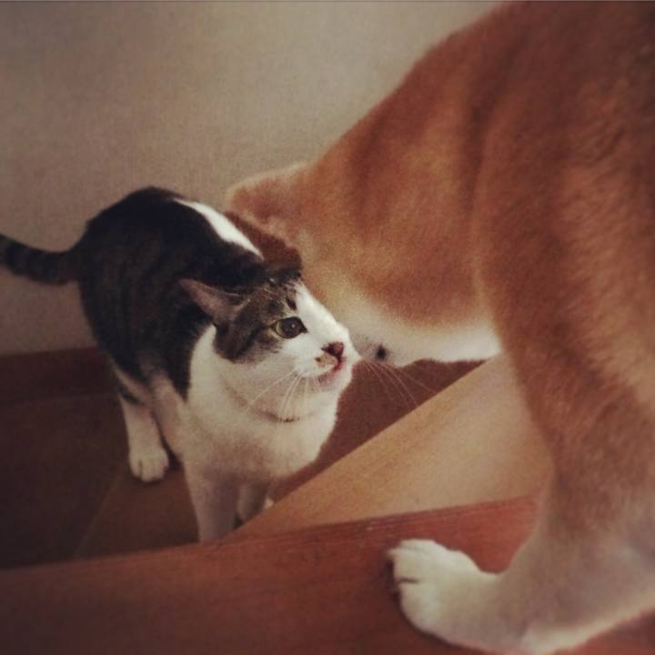 26d143a5 1097 41c8 a692 4d0932db27d1