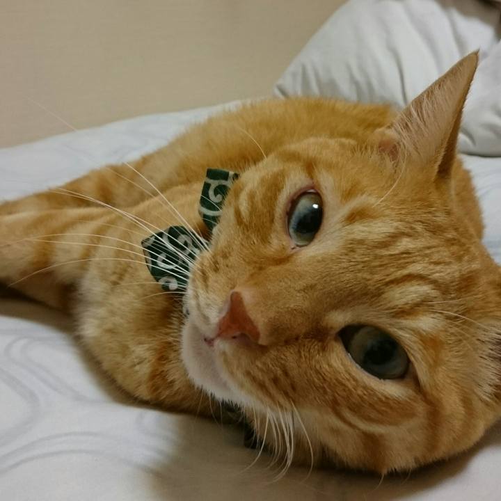 26d23330 109d 4a53 8872 f62dd96c9e42