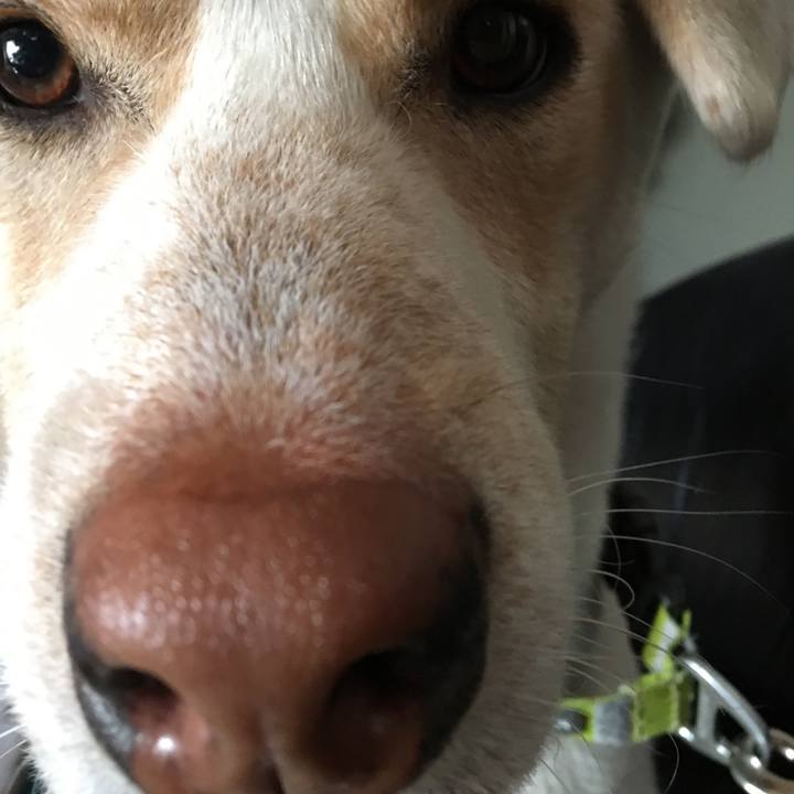 26d23e61 4a7c 4cf6 81fa 02f9902b20c9