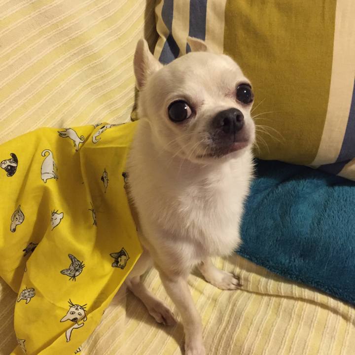 26d2b281 3ff7 4907 92a2 4767b1844fa6