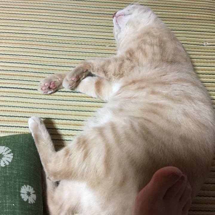 26d2da7c 7feb 4a5b a6d5 87a0b5786659