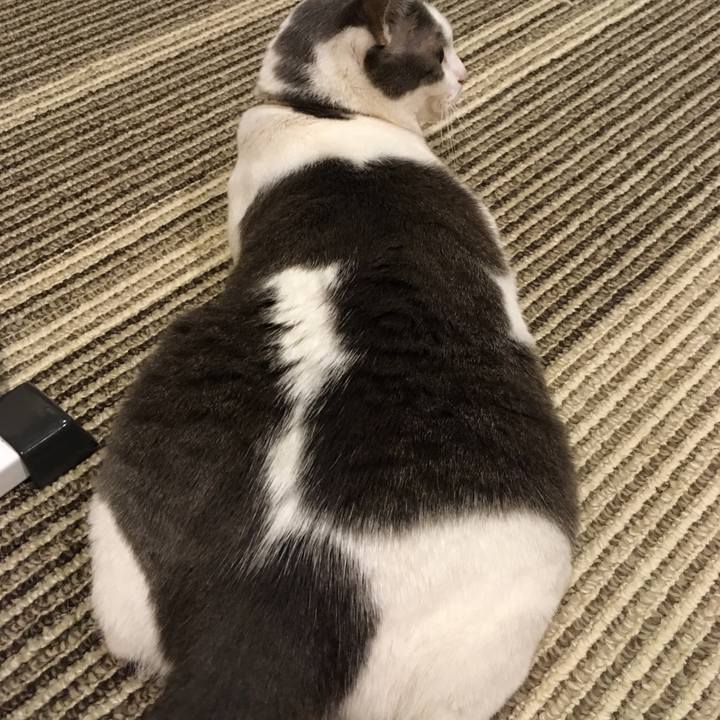 26d3525b 6d16 4381 9990 17862c6e9fa8