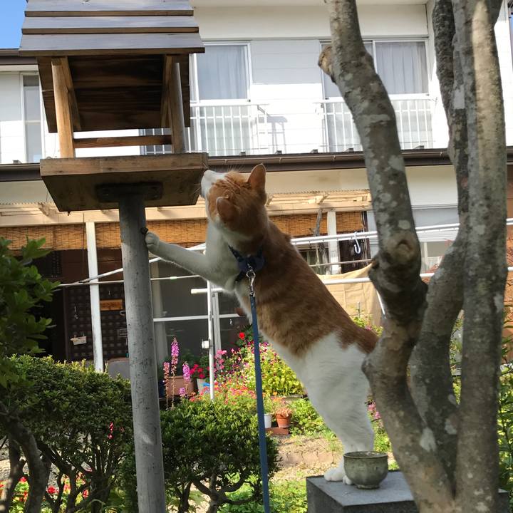 26d44224 35de 492a 8e8c 0e2252337d21