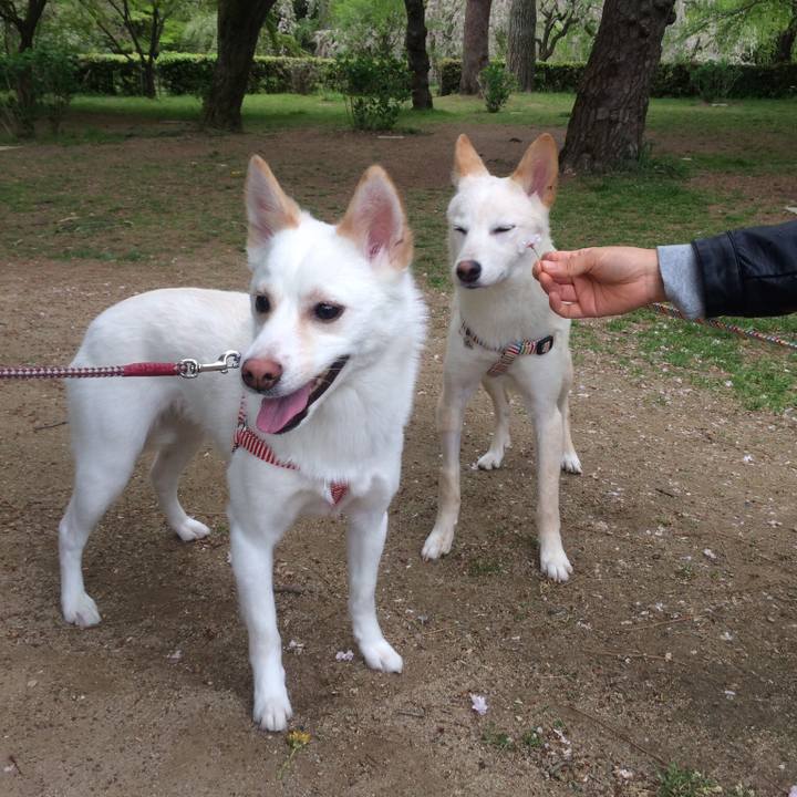 26d45a73 5f3d 4284 bbb2 55e46dee7f29