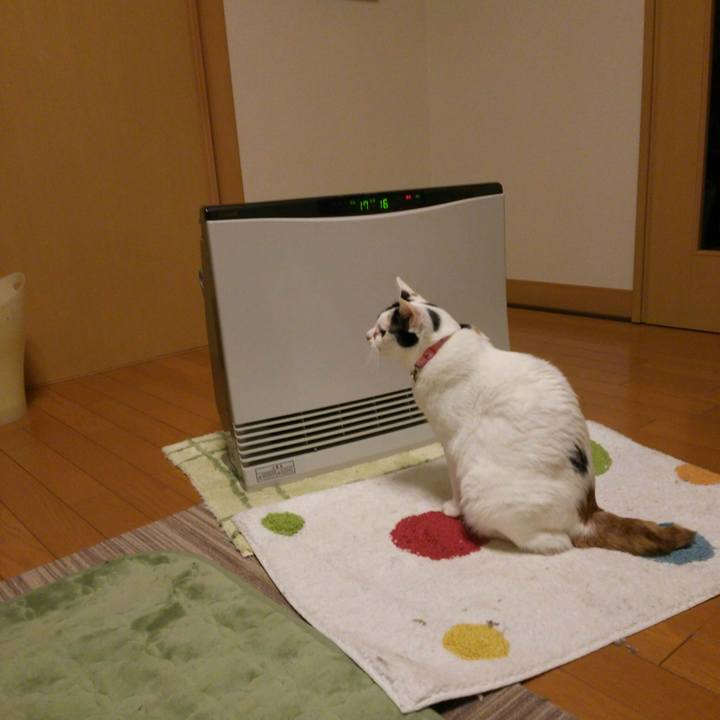 26d45b51 a54b 4a40 96b2 7f3ba5d7ce60