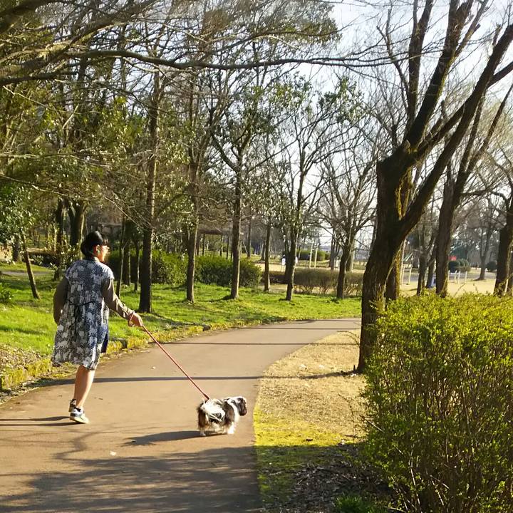 26d491c3 93a1 4a5d 817c ce0fbc5a0e3f