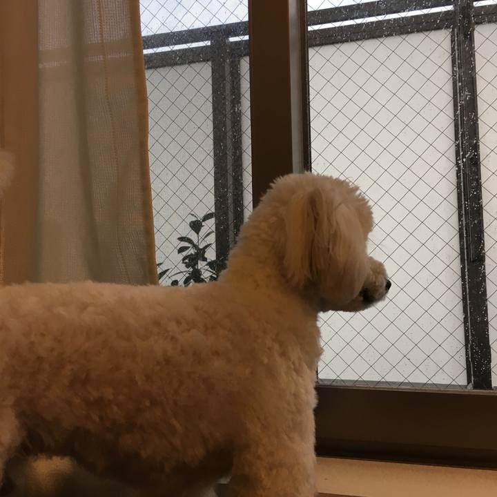 26d49946 69b6 4309 adf5 9ba84e8a731c