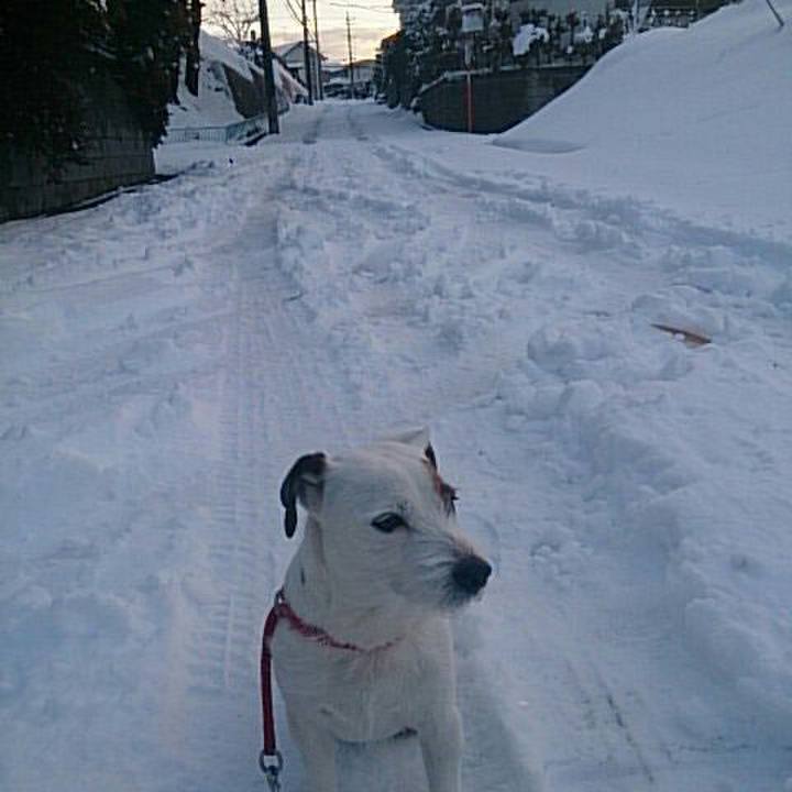 26d54b23 1a4c 446d 90c6 8d2eb8b43808