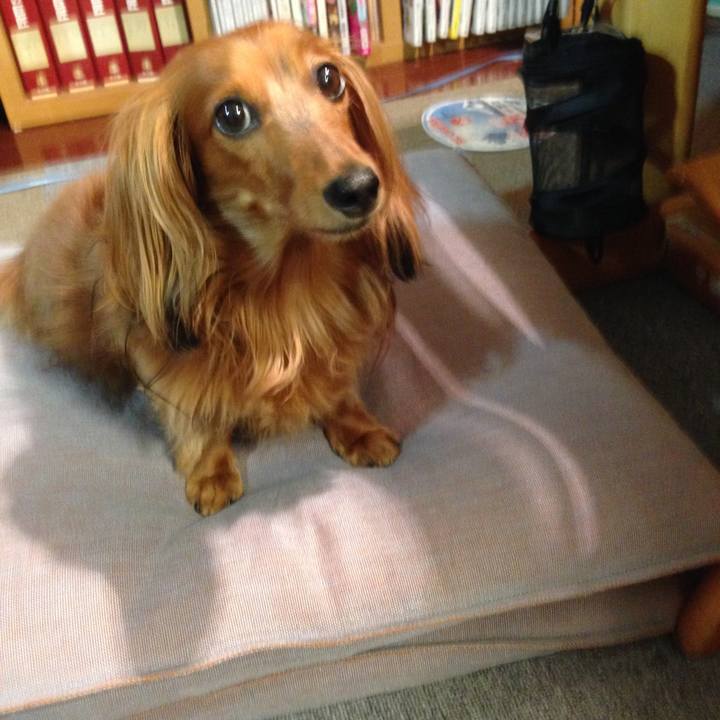 26d5c4a0 1e7b 4068 ac30 242fcc49582b