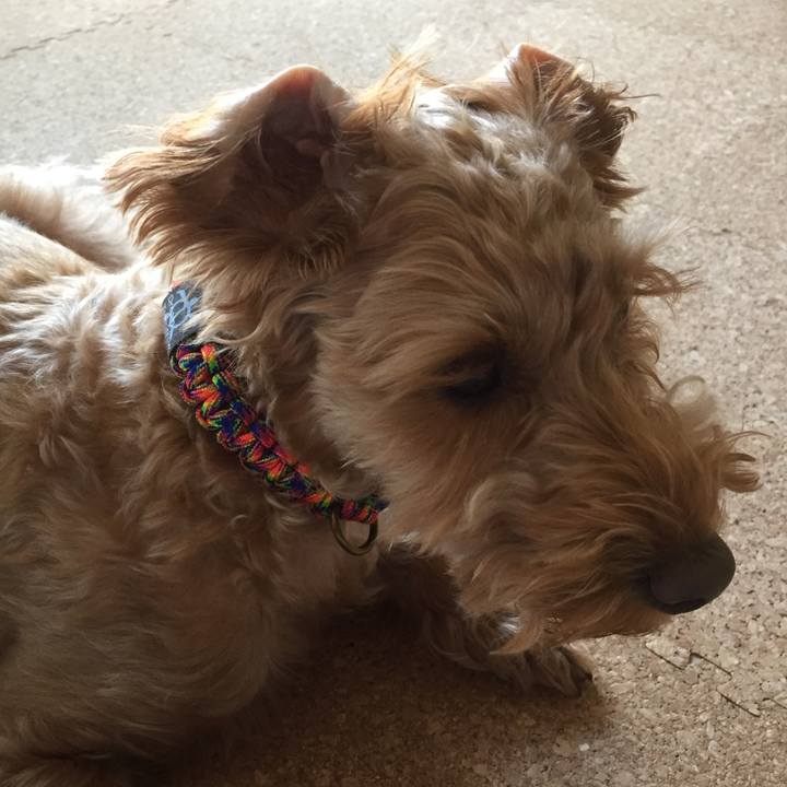 26d640b4 6011 41b9 9894 f1db756c944f