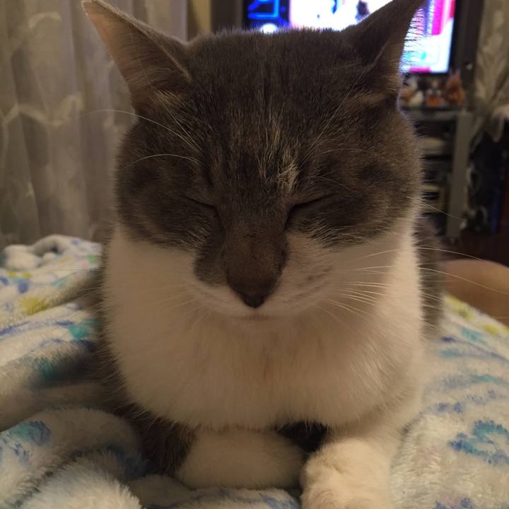 26d6fd60 1fe6 48ce 84ab e3556603f61b