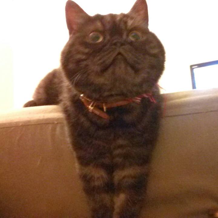 26d7552f 1256 4700 bc5f ad92f6cddd11