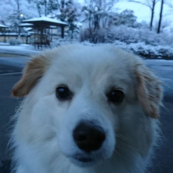 26d8373e ad2d 4e5a 8ba3 ff110b771082