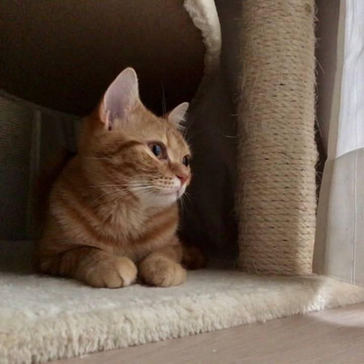 26d8b867 4868 4e0b 8dfe 96831cf6a138