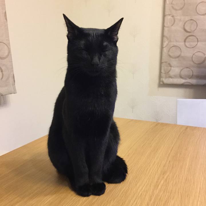 26d8e6ed ead8 475c bfdb e6ff8cd59f51