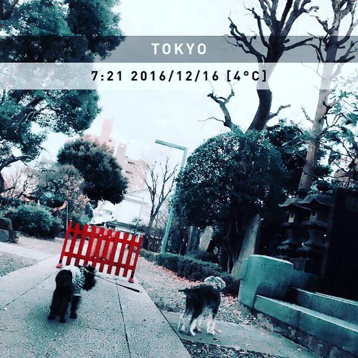 26d8f1b7 7a8e 4a01 8308 ab32729e5159