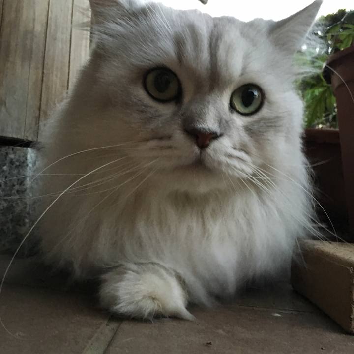 26d97f45 2db1 4a3b 9e48 9ad9766b3830