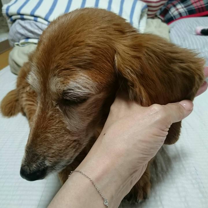 26d99321 eed9 4a06 a999 693113c3a002