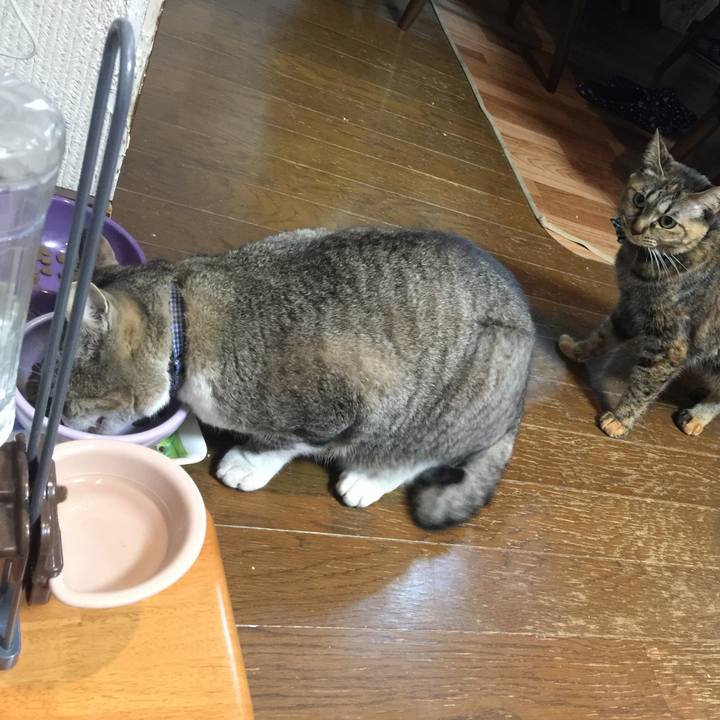 26da14e8 6e73 4cfa 880c 416d0c95d608