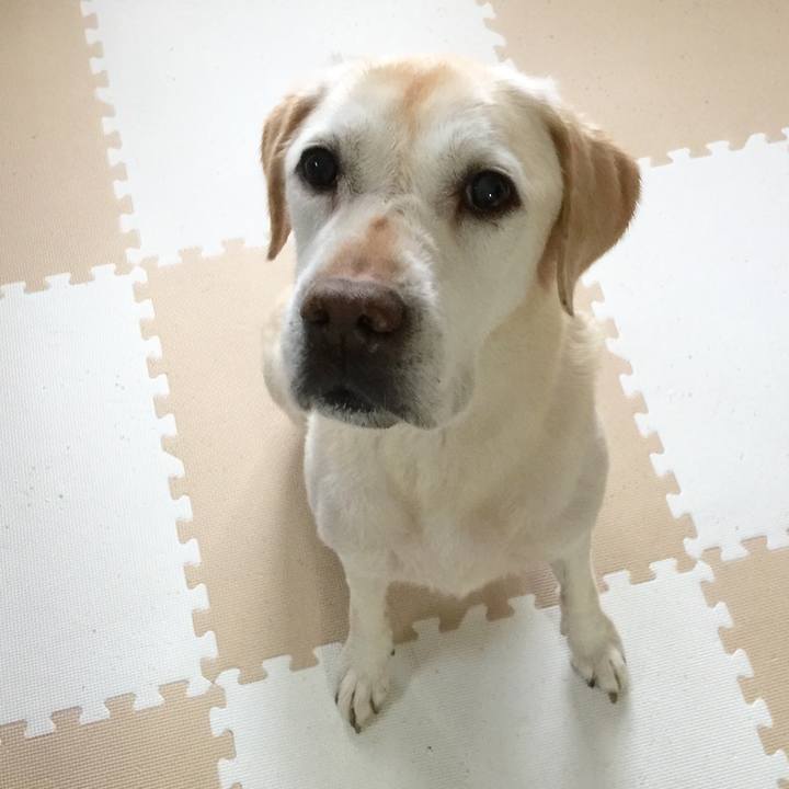 26dae82f 2681 4e92 8500 7f7871ff5957