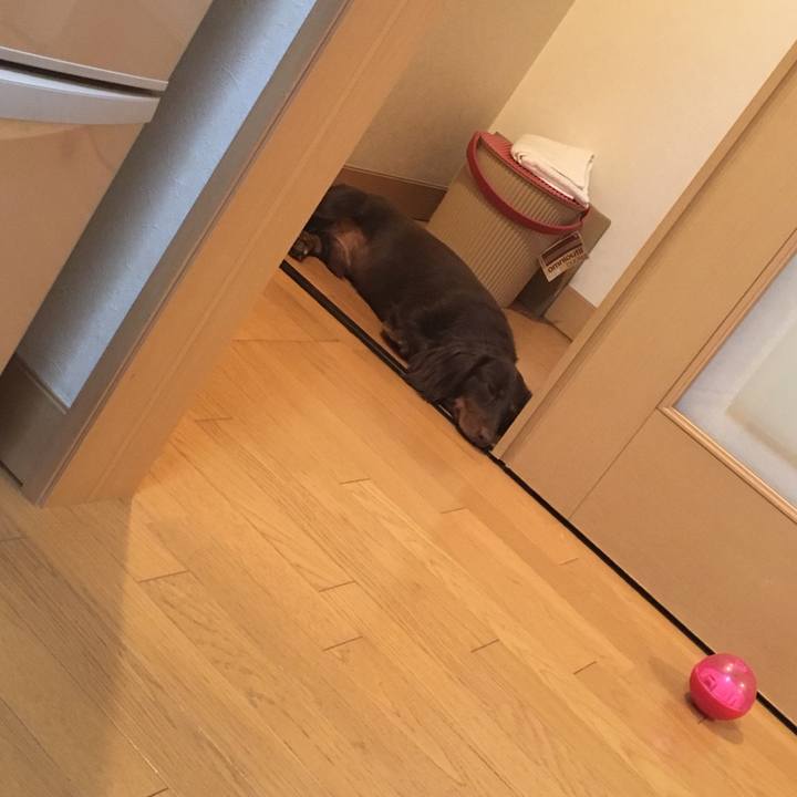 26daf48c 1cff 40ed 8803 9ed85a68753b