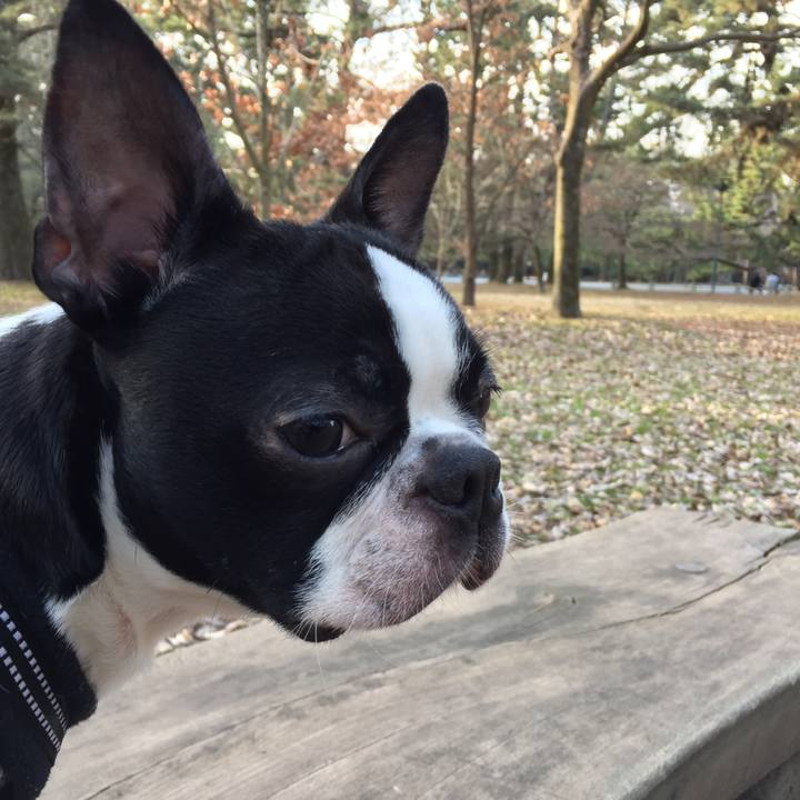 26db0066 0a04 40ce 81b3 0ca0ba6bed68