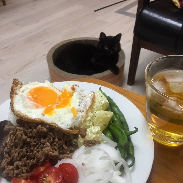 26db476a a8e2 418a 8693 fa67e34049f7