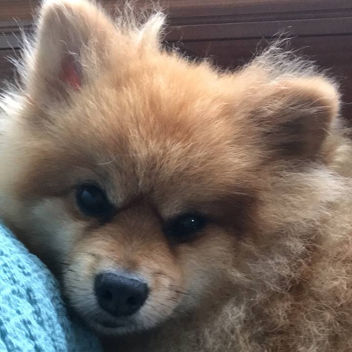 26db5eec cd78 4480 922f 1b6342e8d1d4