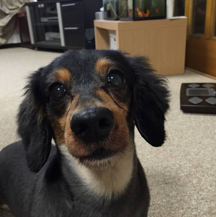 26dbee7c 5839 44cb b574 f24f6aa815b0